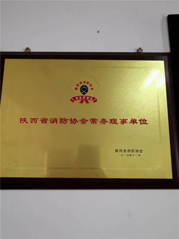 陕西省消防协会常务理事单位